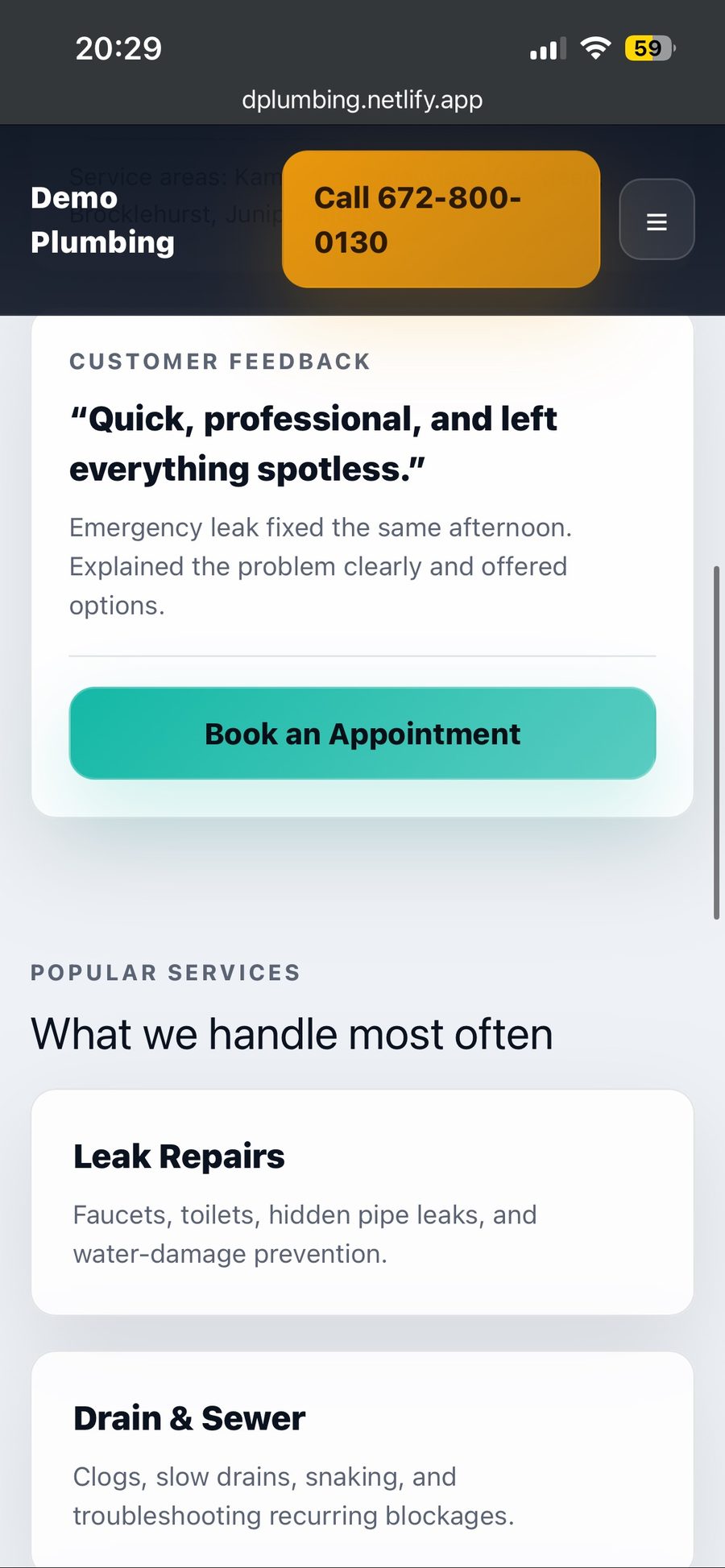 Plumbing demo testimonial screenshot